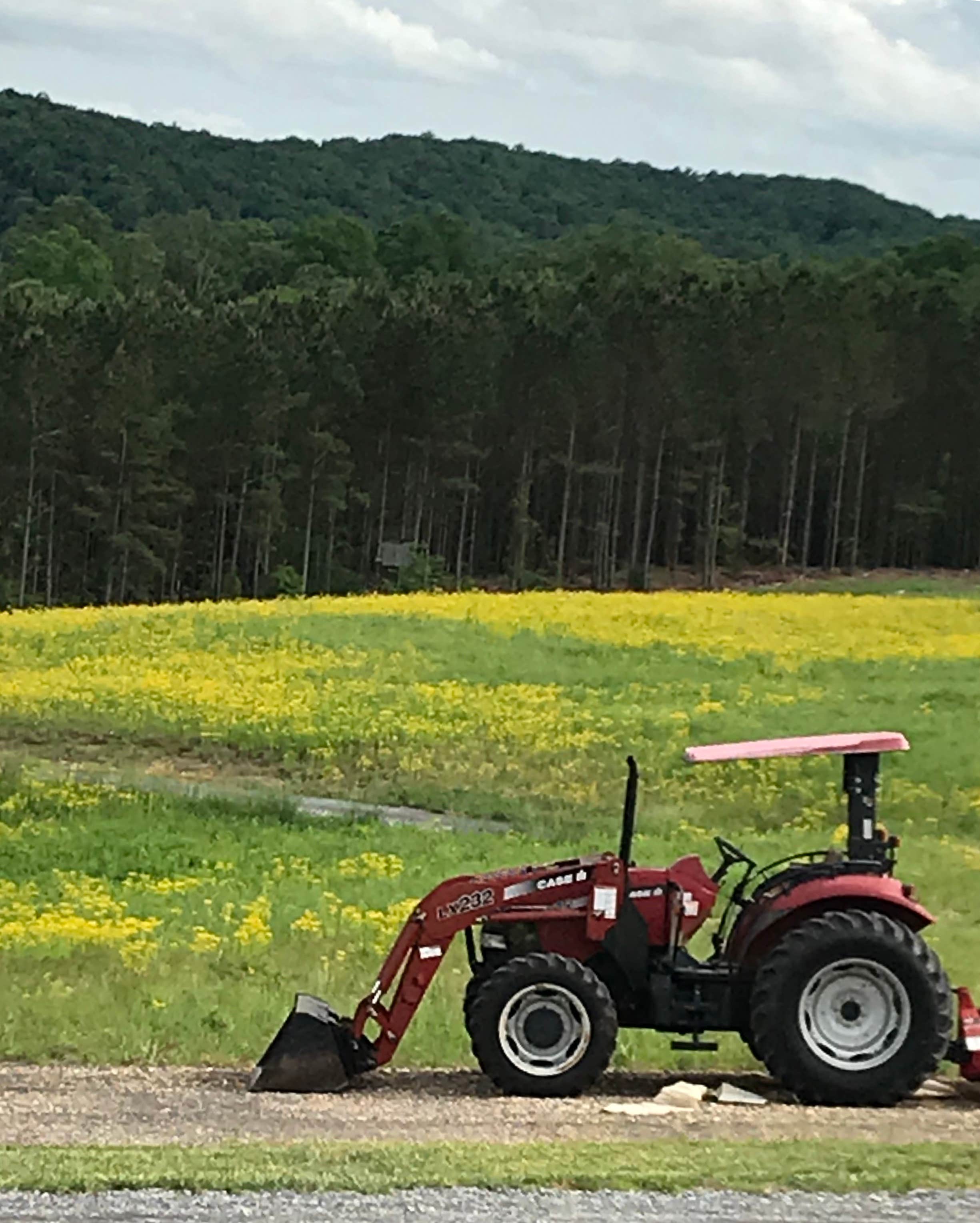 Camper-submitted photo at Eads Bluff Farm near Birchwood, TN