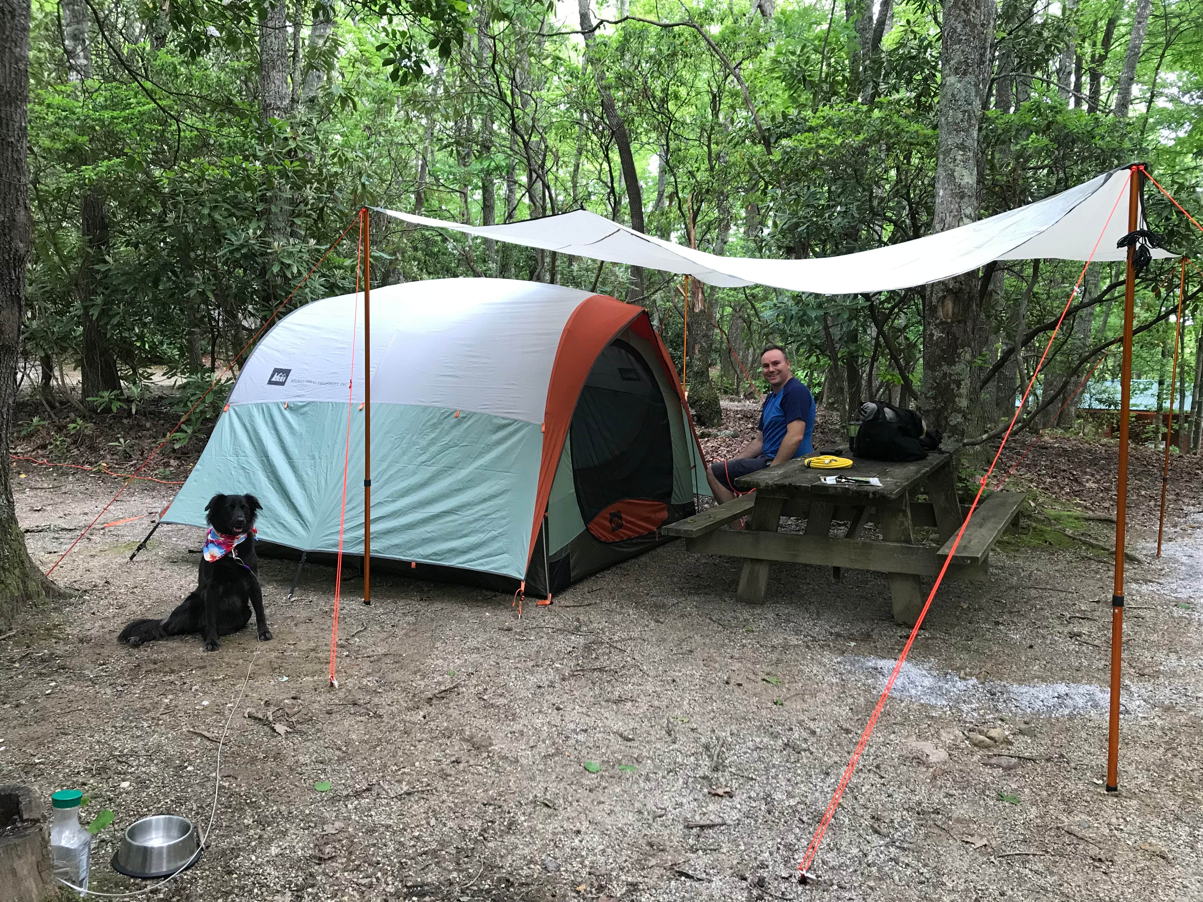Krista R.'s photo at Spacious Skies Bear Den near Spruce Pine, NC