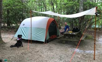 Krista R.'s photo at Spacious Skies Bear Den near Little Switzerland, NC