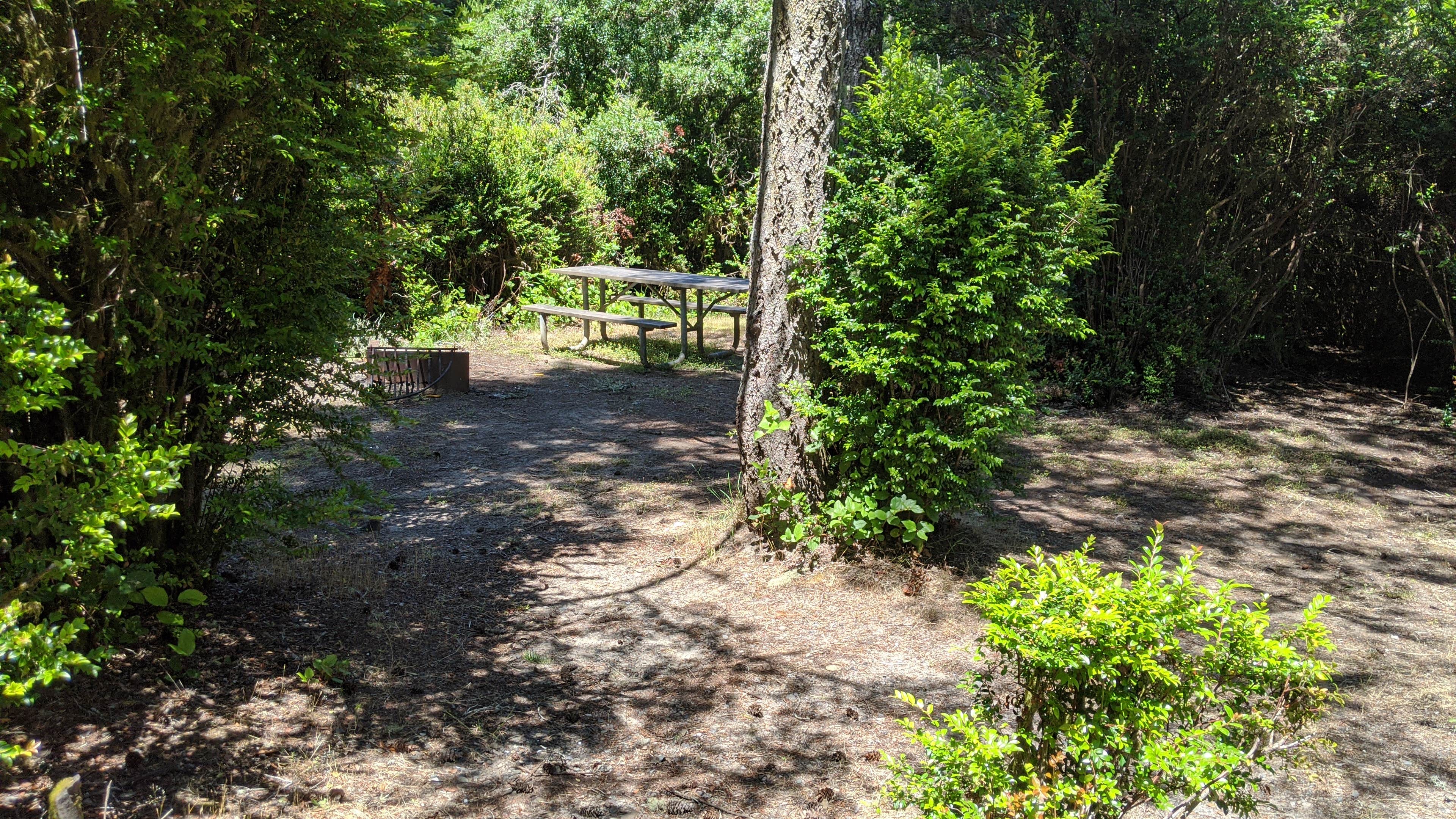 Camper submitted image from Eel Creek Campground - 4