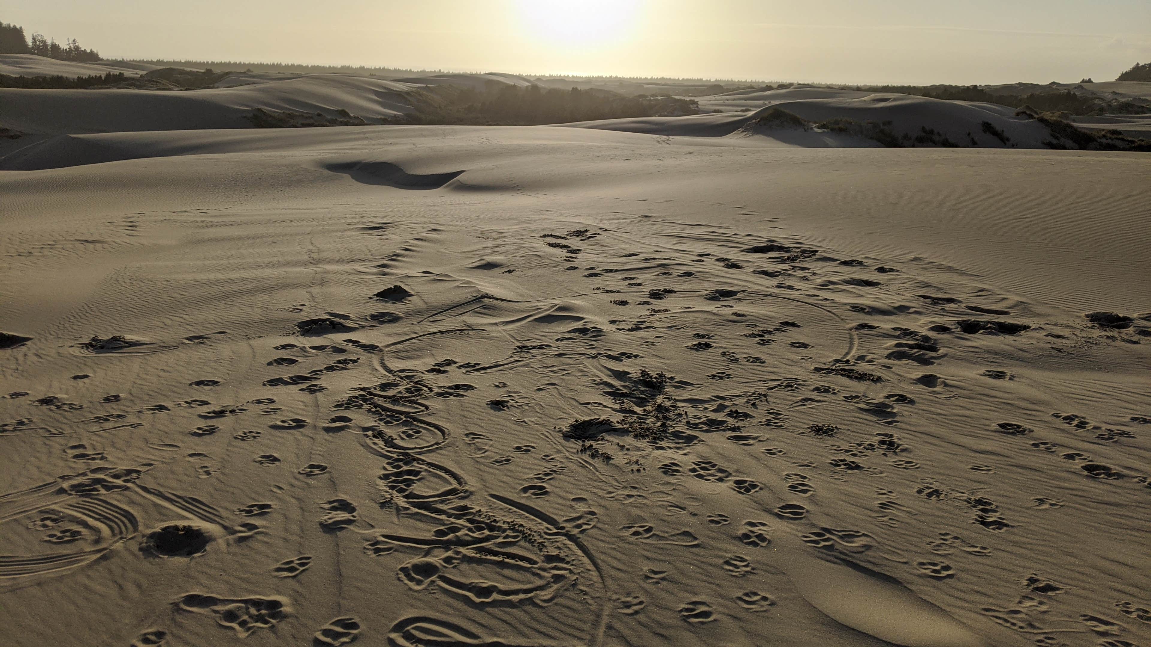 Camper-submitted photo at Eel Creek Campground near Reedsport, OR
