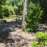 Review photo of Eel Creek Campground by Marie L., February 24, 2021