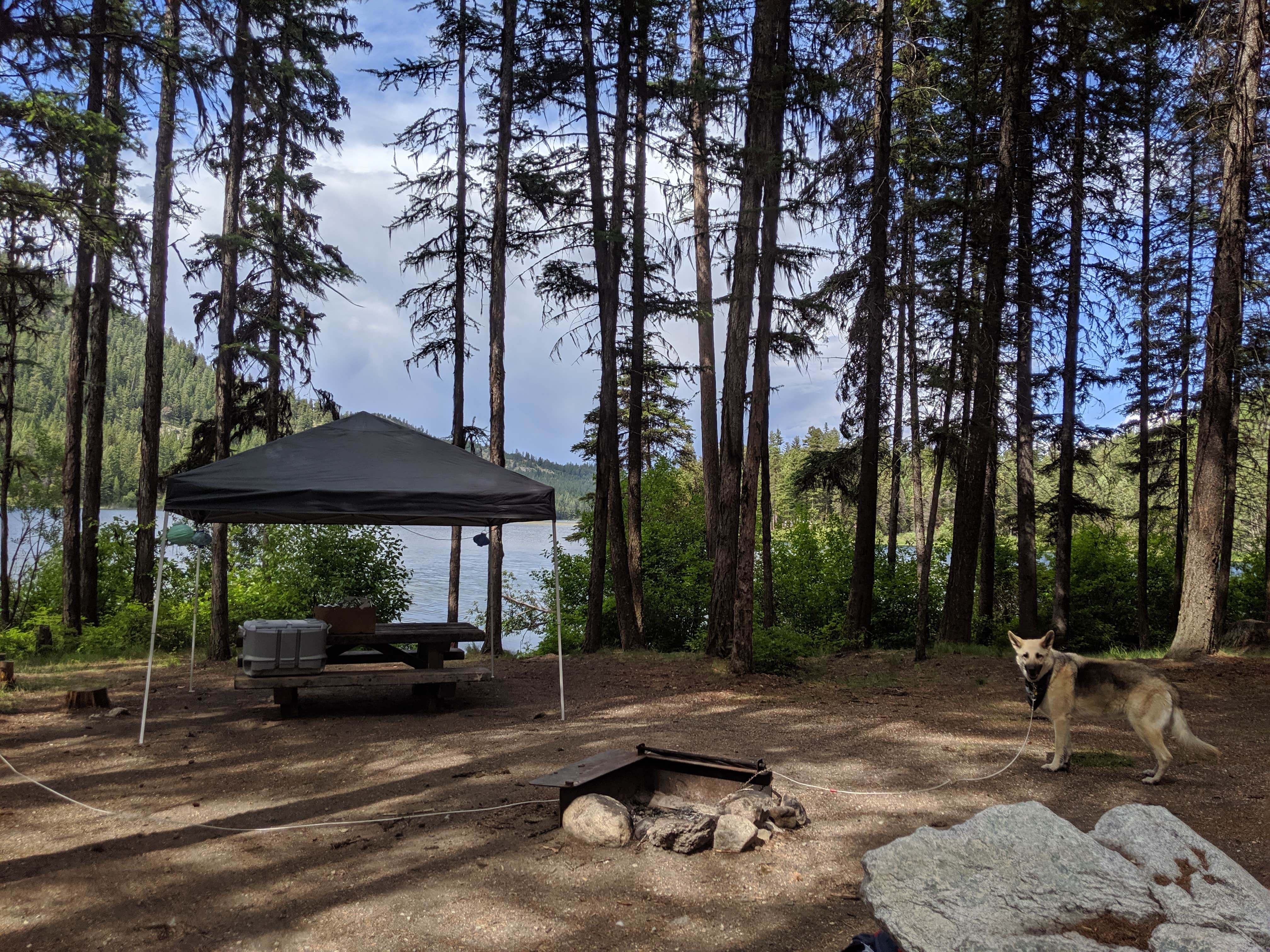 Bonaparte Lake Campground The Dyrt