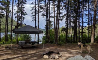 Marie L.'s photo of camping with pets at Bonaparte Lake Campground near Malo, WA