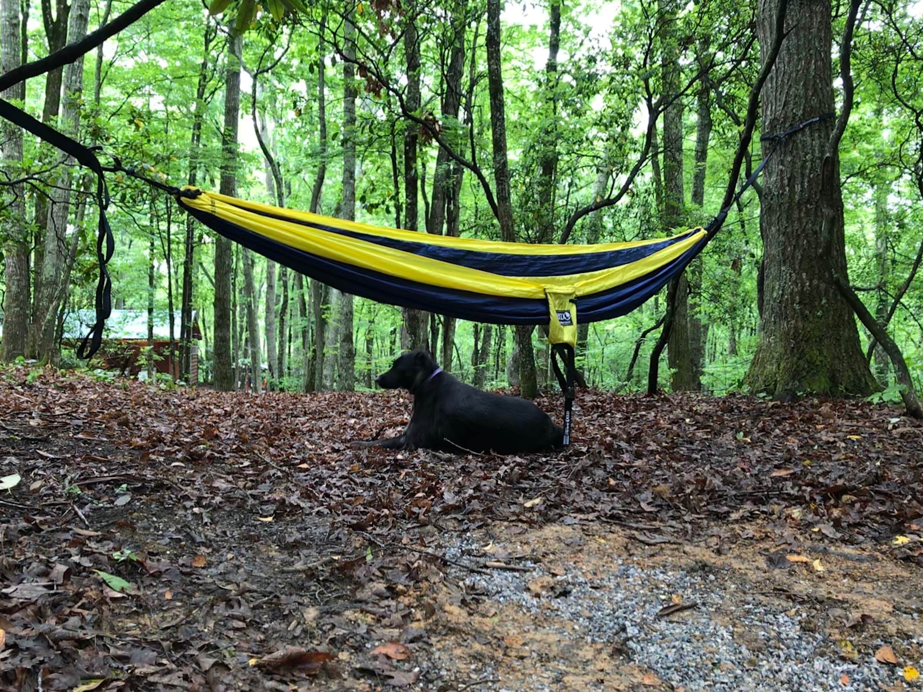 Camper submitted image from Spacious Skies Bear Den - 3