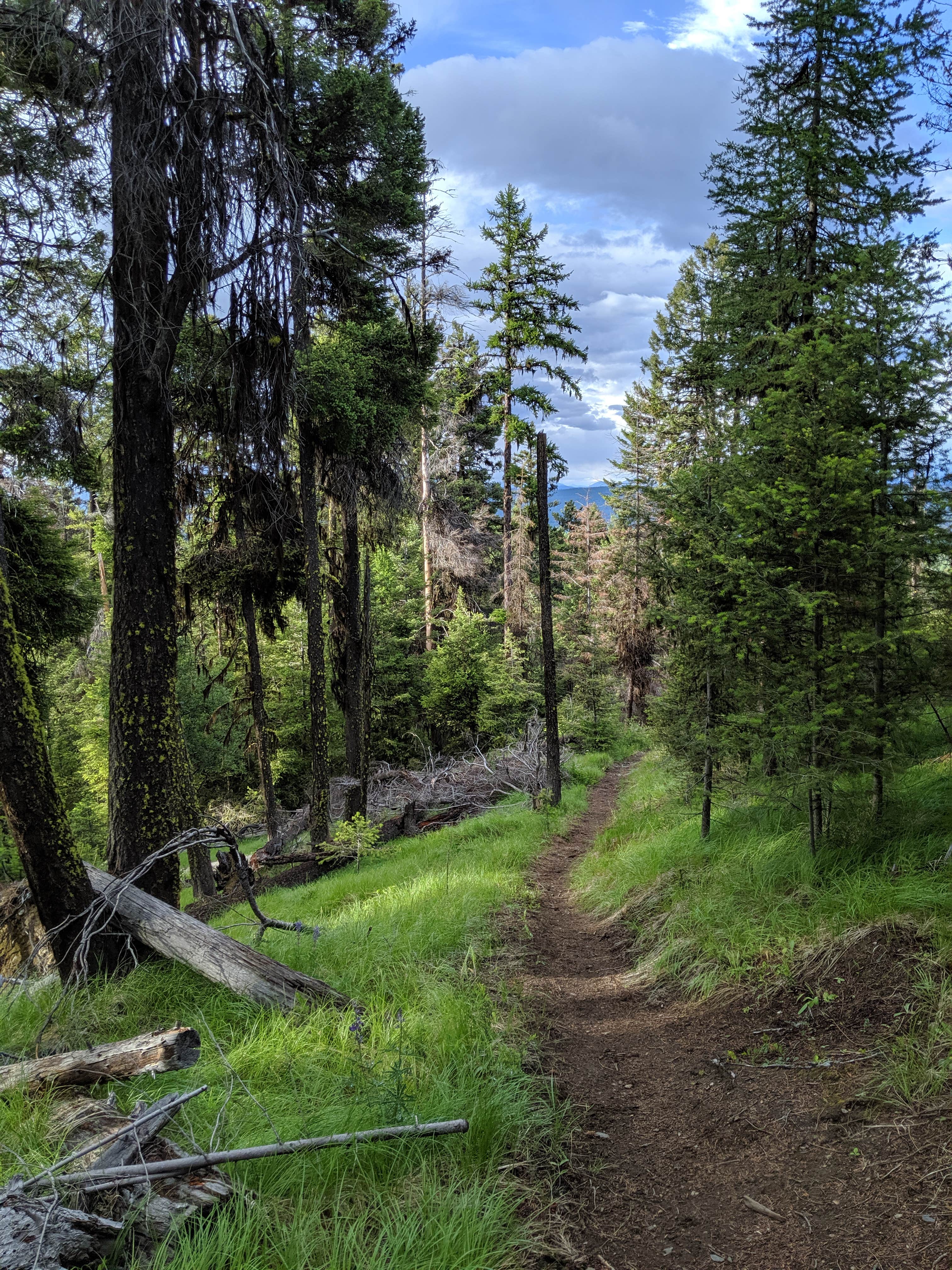 Camper submitted image from Bonaparte Lake Campground - 5
