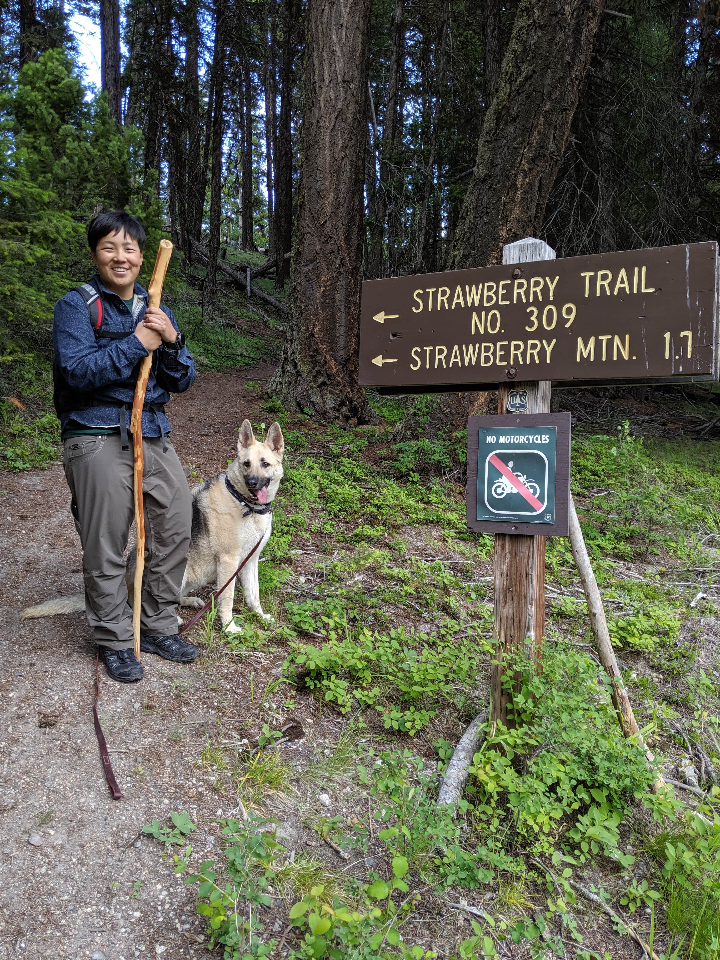 Marie L.'s photo of camping with pets at Bonaparte Lake Campground near Malo, WA