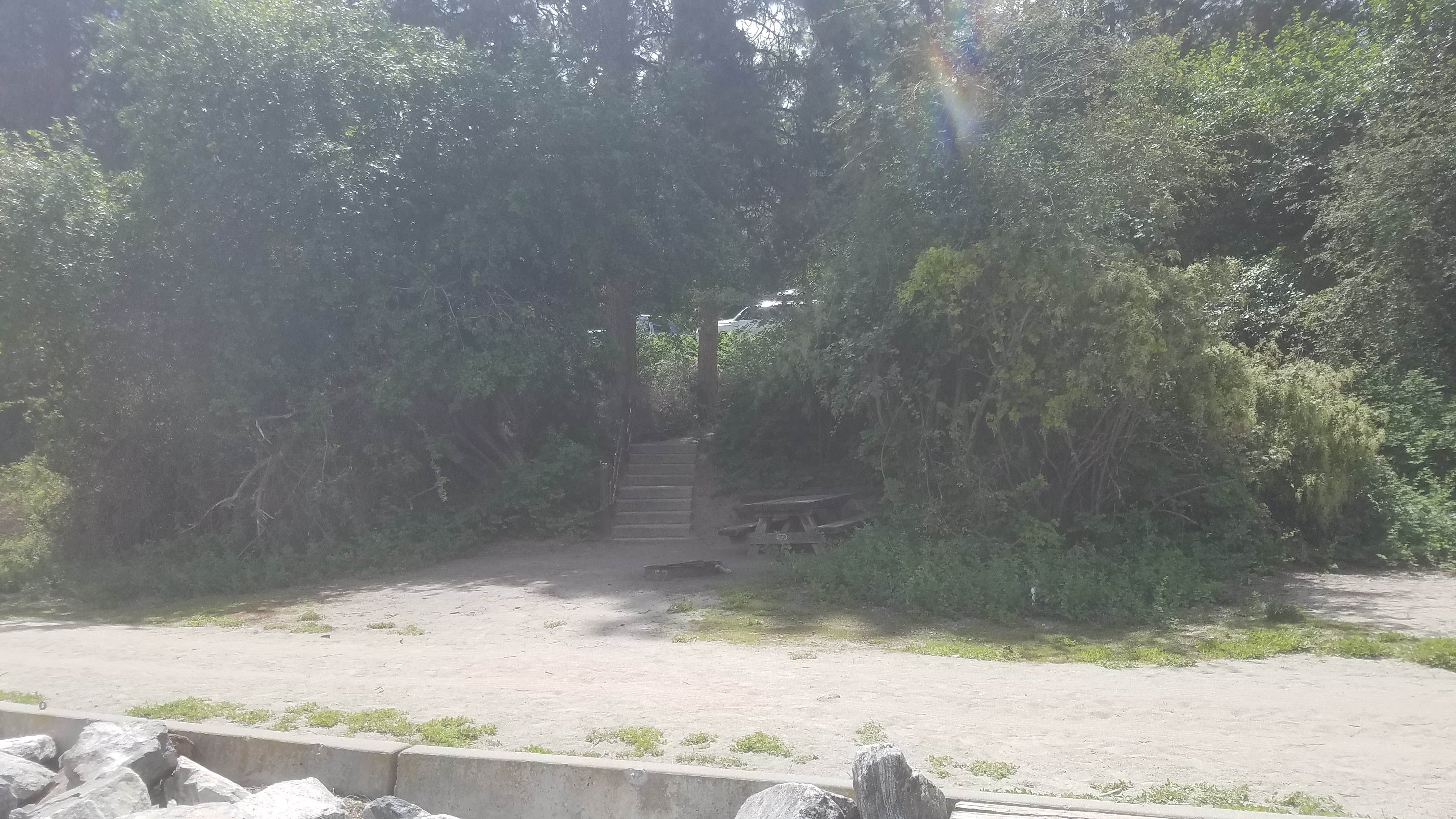 Camper-submitted photo at Lake Chelan State Park Campground near Chelan, WA