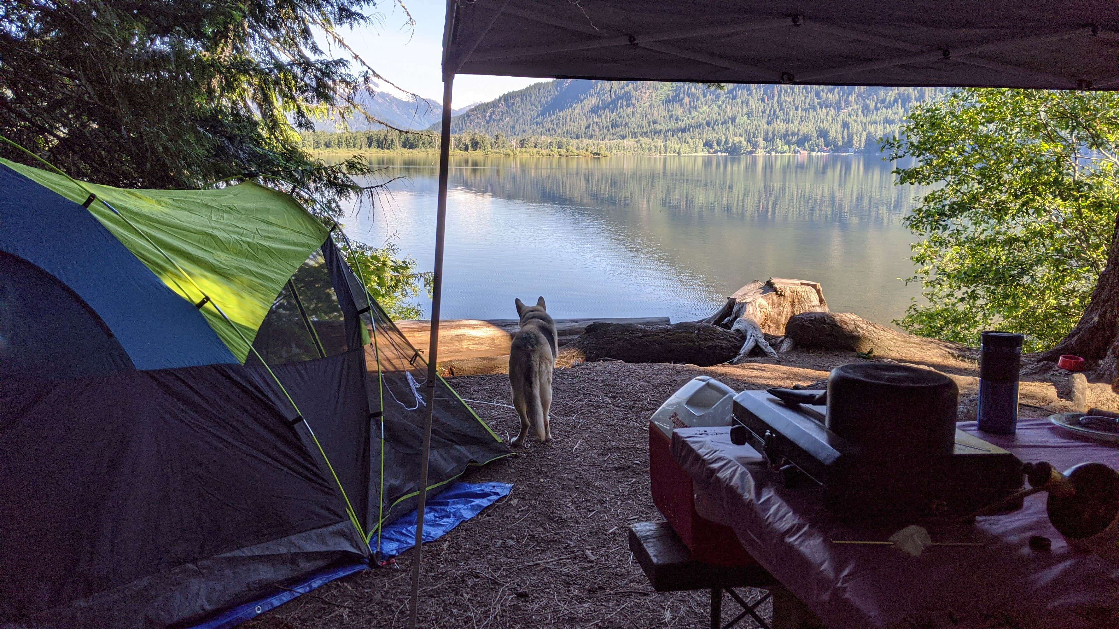 Marie L.'s photo of tent camping at Glacier View Campground near Gold Bar, WA