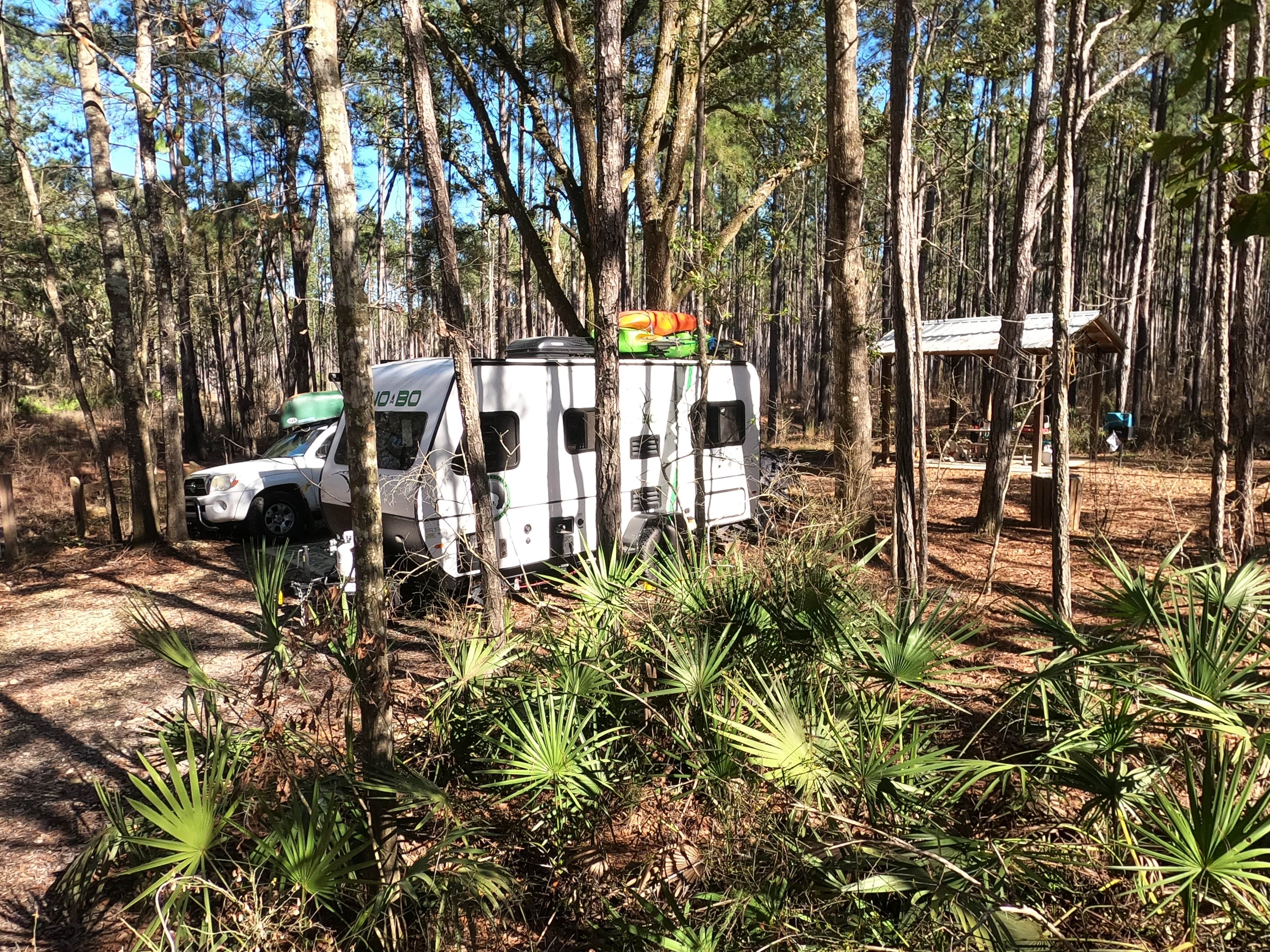 Camper-submitted photo at Cotton Landing near Westville, FL