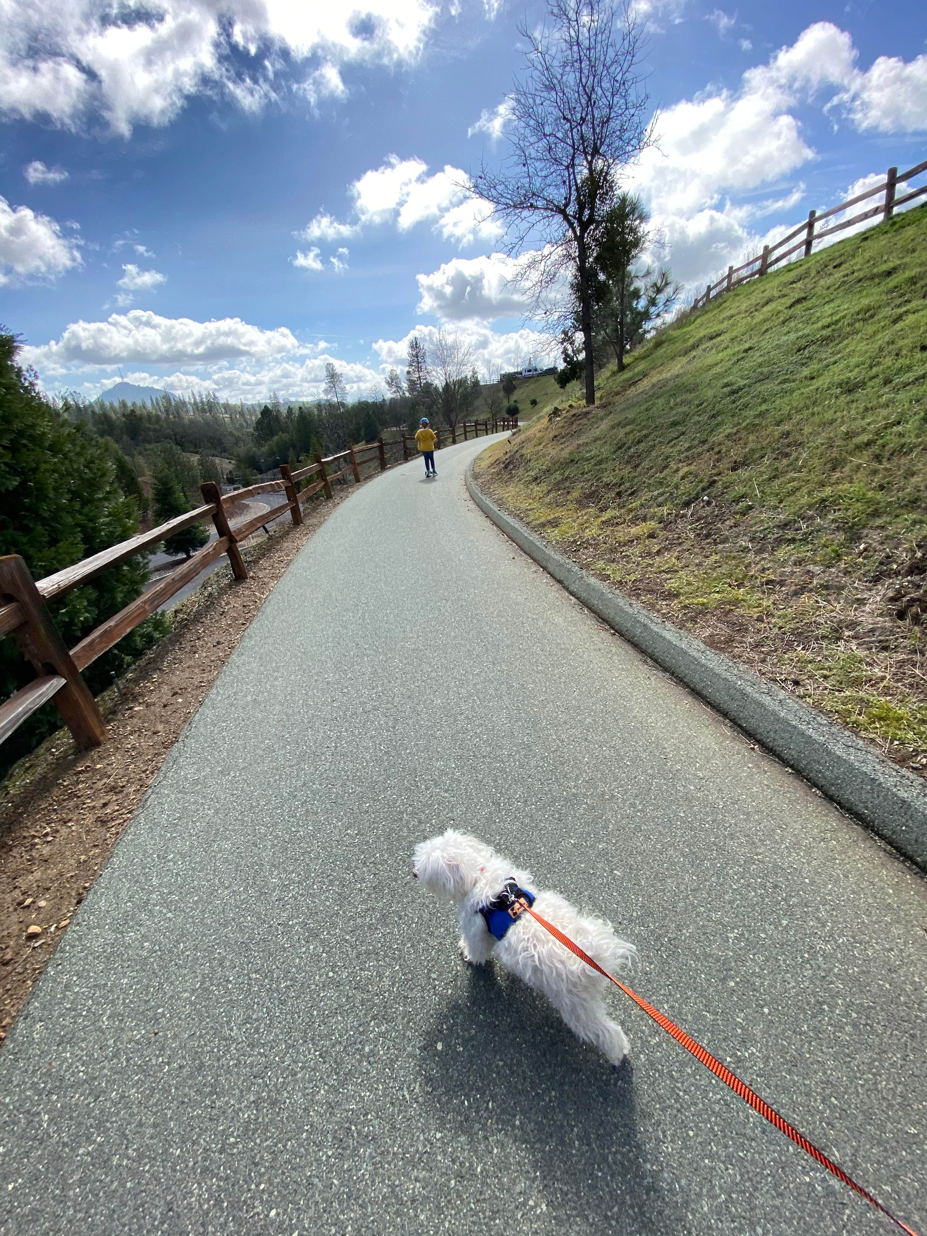 Chesney S.'s photo of camping with pets at Jackson Rancheria RV Park near New Hogan Lake