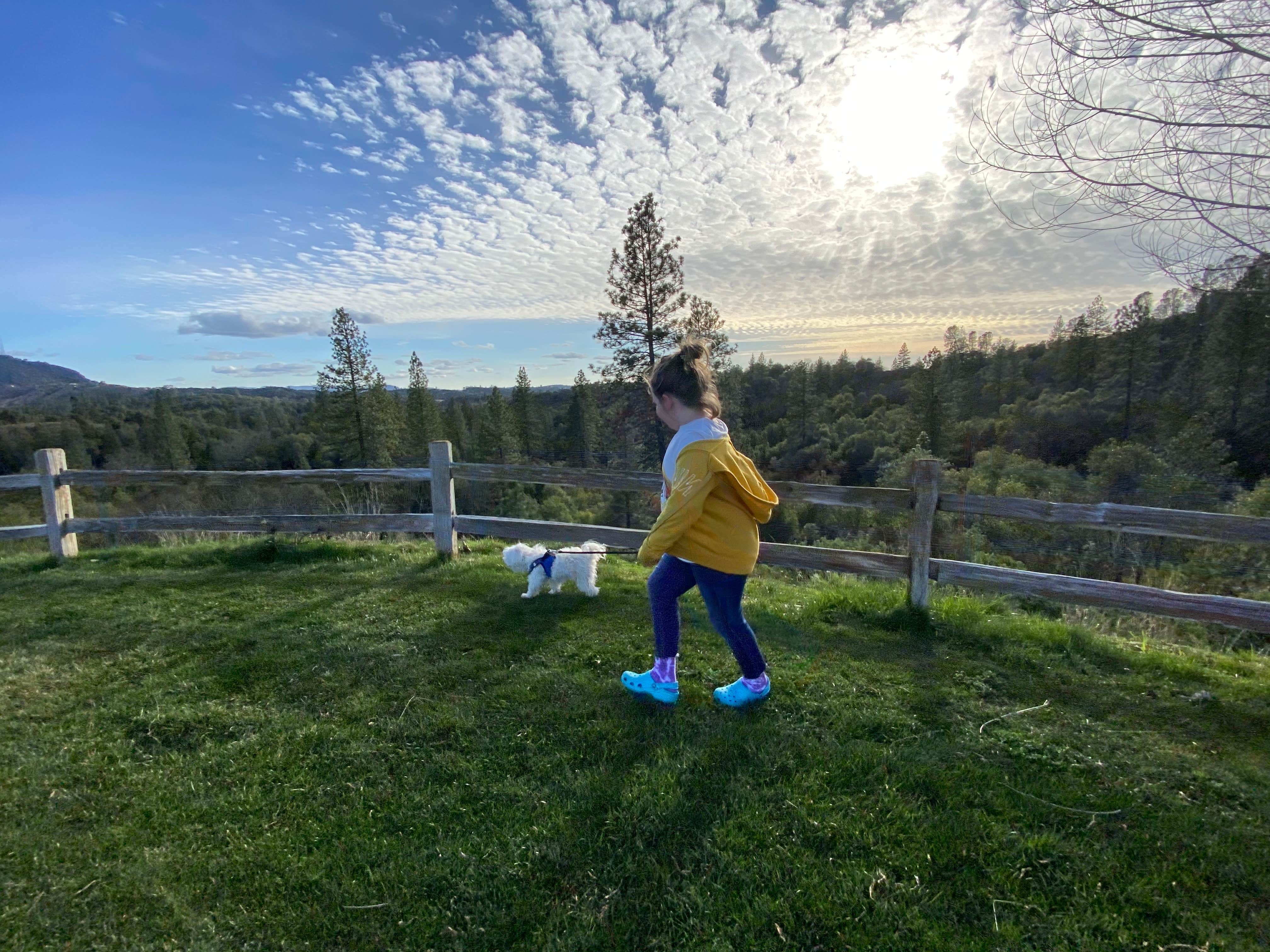 Camper submitted image from Jackson Rancheria RV Park - 5