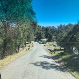 Blue Jay Campground