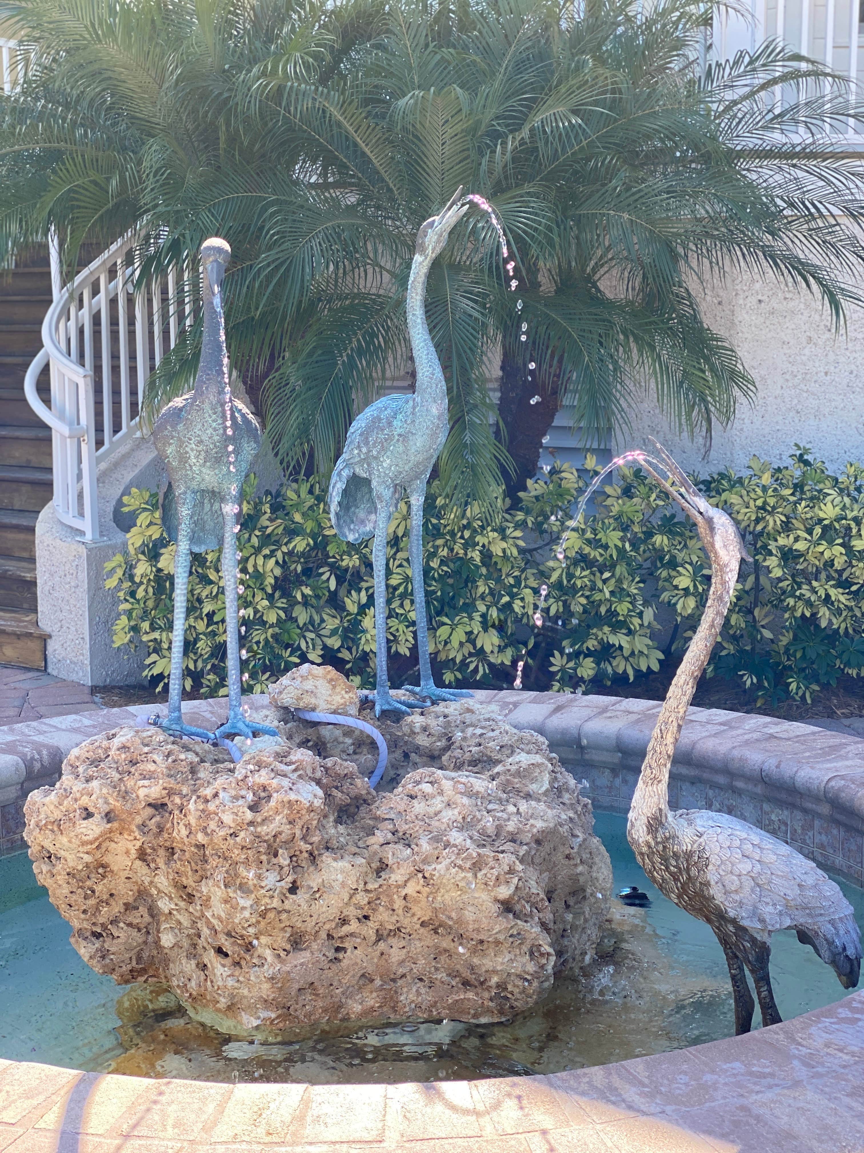 Camper-submitted photo at Everglades Isle Motorcoach Retreat near Big Cypress National Preserve