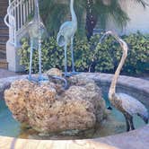Review photo of Everglades Isle Motorcoach Retreat by Susan & Kevin W., February 25, 2021