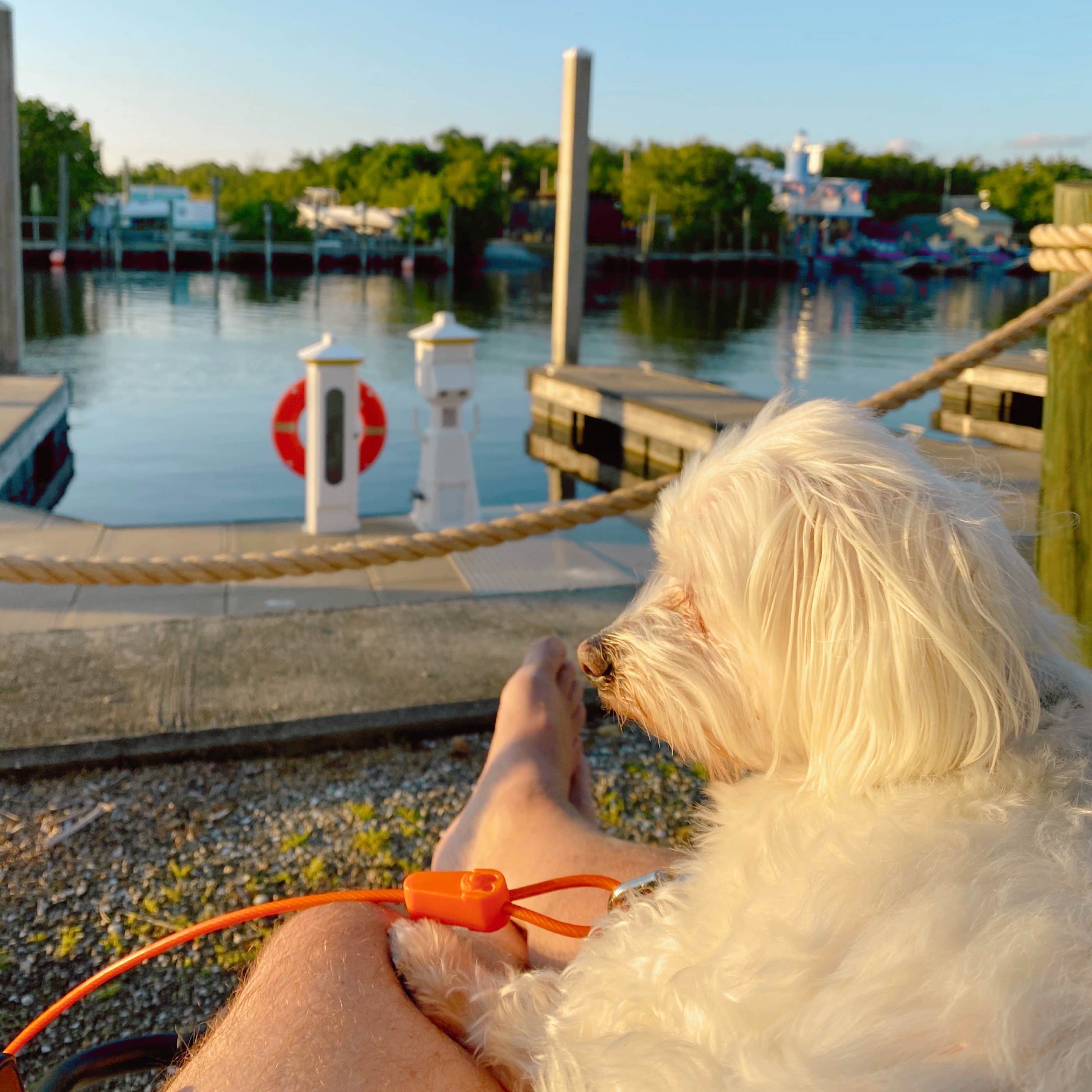 Camper-submitted photo at Everglades Isle Motorcoach Retreat near Big Cypress National Preserve