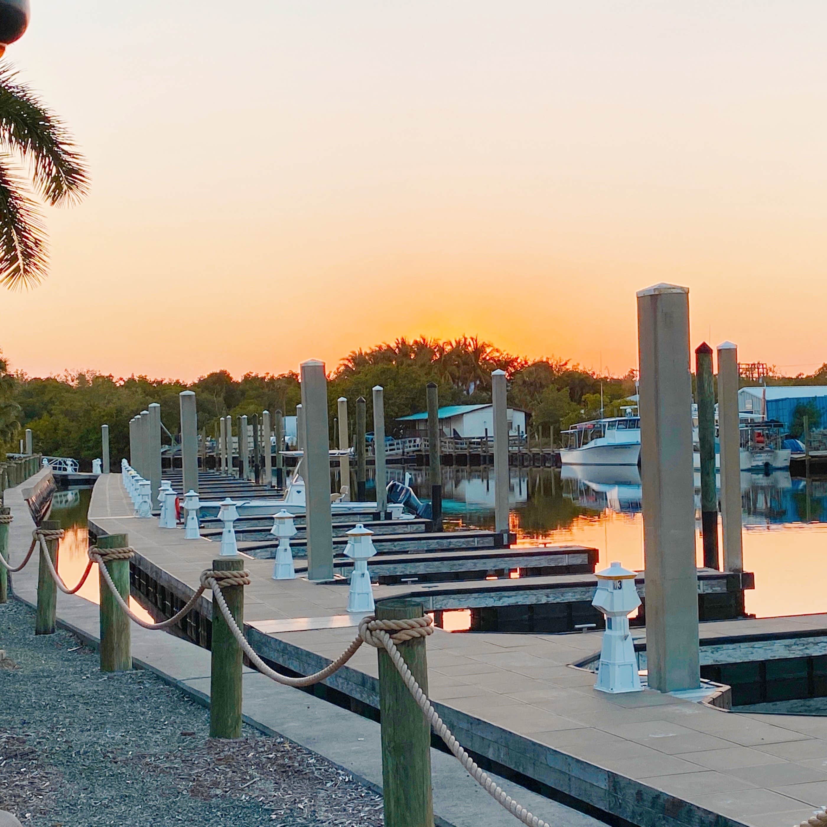 Camper submitted image from Everglades Isle Motorcoach Retreat - 4
