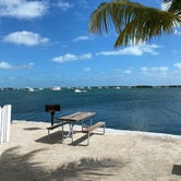 Review photo of Boyd's Key West Campground by Susan & Kevin W., February 25, 2021