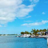 Review photo of Boyd's Key West Campground by Susan & Kevin W., February 25, 2021