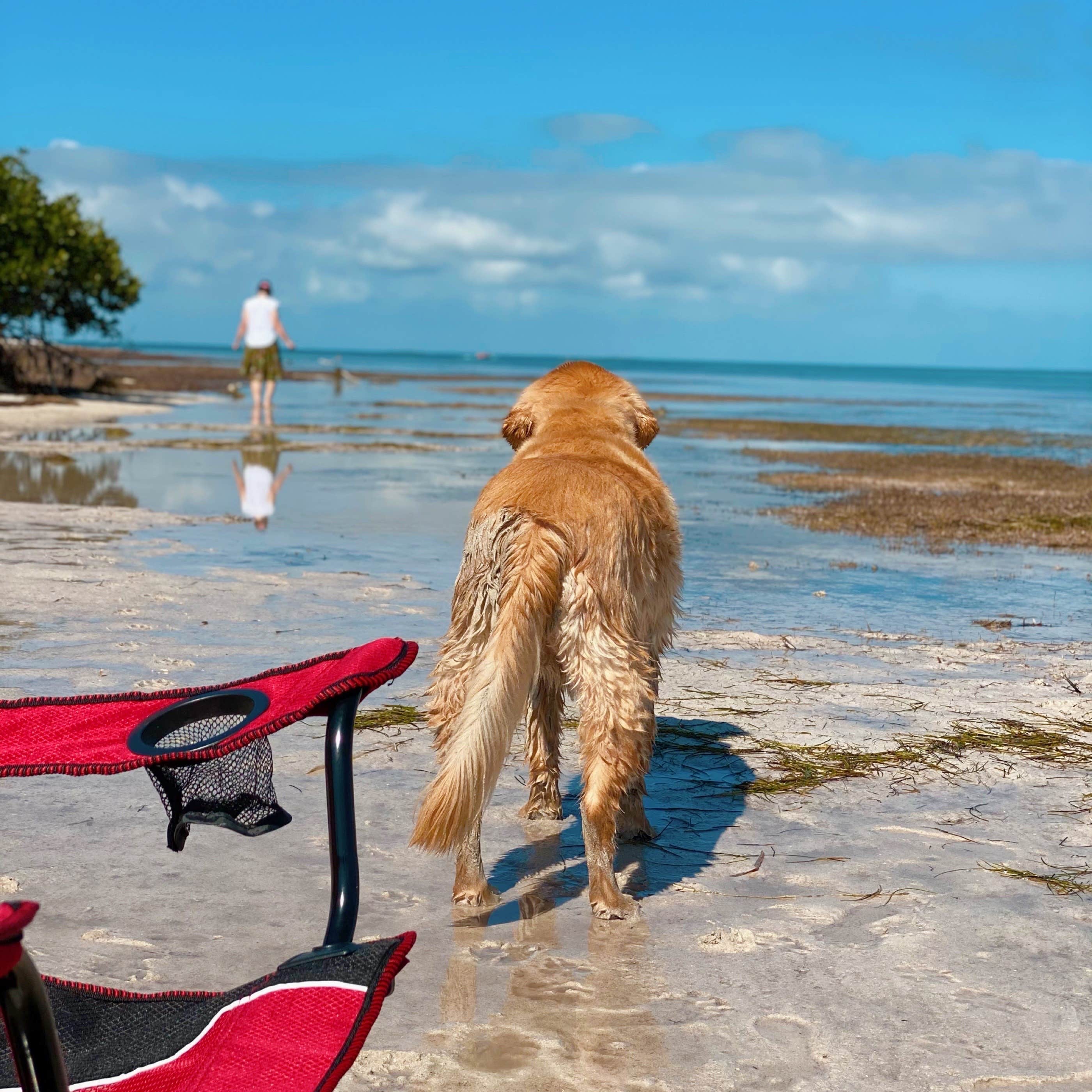 Susan & Kevin W.'s photo of camping with pets at Encore Sunshine Key near Key West, FL