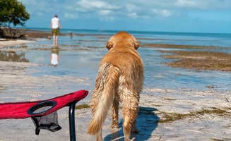 Susan & Kevin W.'s photo of camping with pets at Encore Sunshine Key near Islamorada, Village of Islands, FL