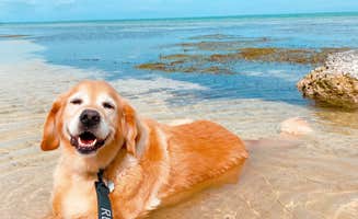 Susan & Kevin W.'s photo of camping with pets at Encore Sunshine Key near Key West, FL