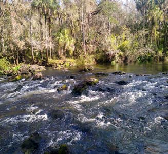 Camper-submitted photo from Pine Grove Campground — Jonathan Dickinson State Park
