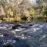 Review photo of Hillsborough River State Park Campground by Rachel G., February 25, 2021