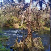 Review photo of Hillsborough River State Park Campground by Rachel G., February 25, 2021