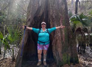 Hillsborough River State Park Campground