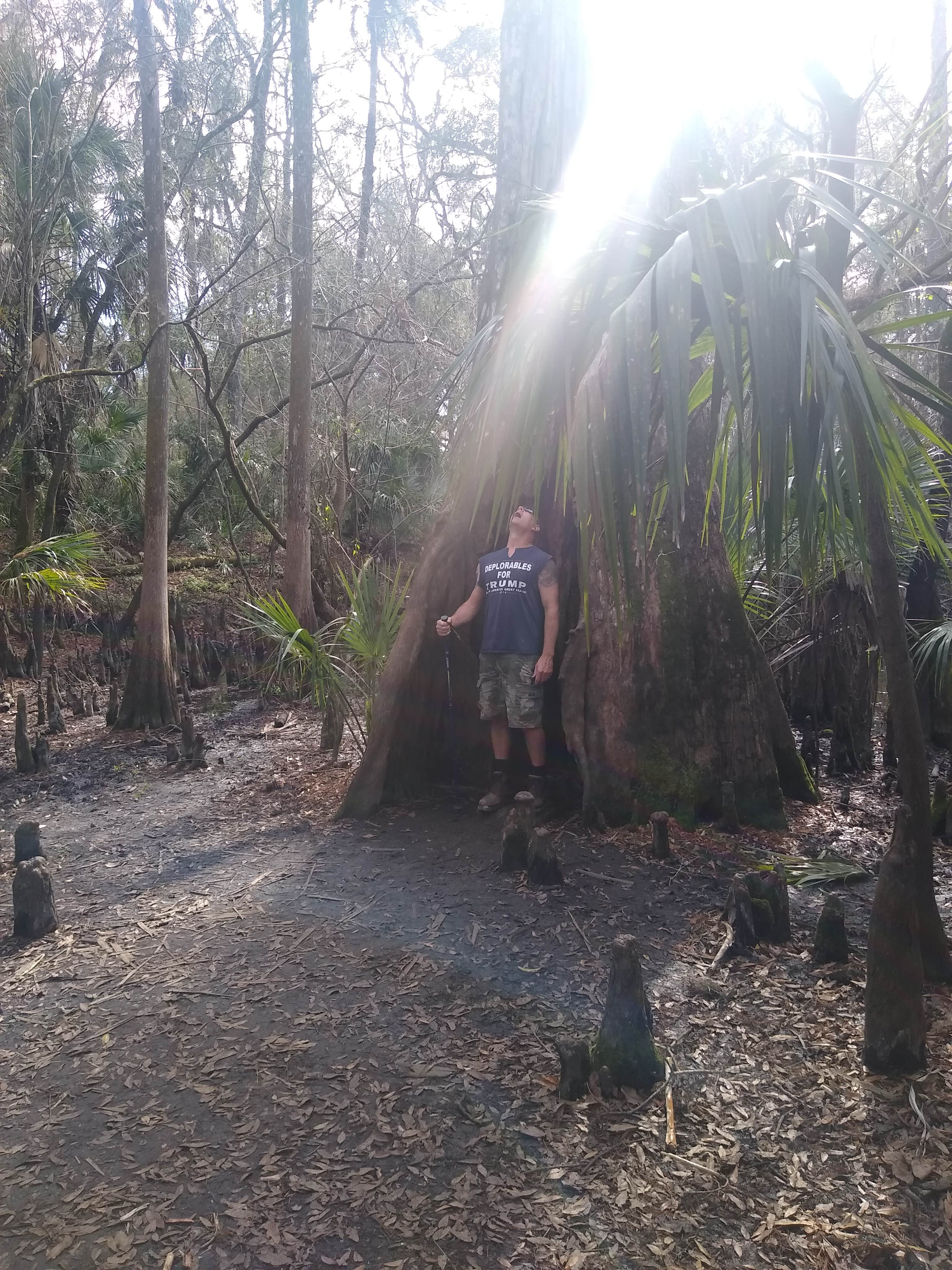 Camper-submitted photo at Hillsborough River State Park Campground in Florida
