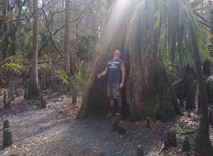 Hillsborough River State Park Campground