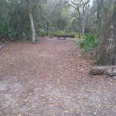 Review photo of Hillsborough River State Park Campground by Rachel G., February 25, 2021