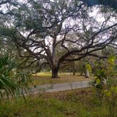 Review photo of Hillsborough River State Park Campground by Rachel G., February 25, 2021