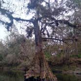 Review photo of Hillsborough River State Park Campground by Rachel G., February 25, 2021