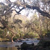 Review photo of Hillsborough River State Park Campground by Rachel G., February 25, 2021