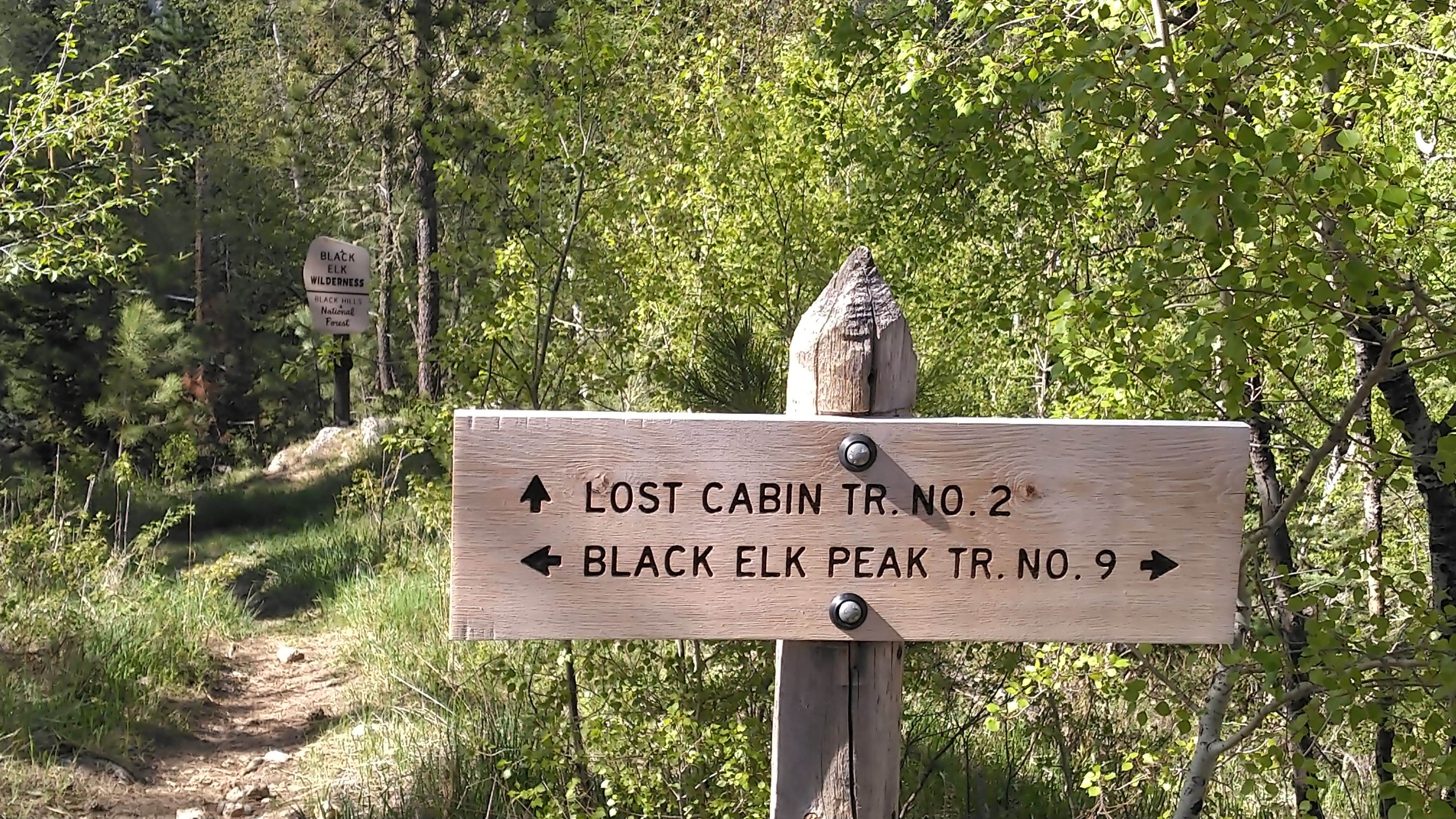 Camper-submitted photo at Sylvan Lake Campground — Custer State Park near Lead, SD