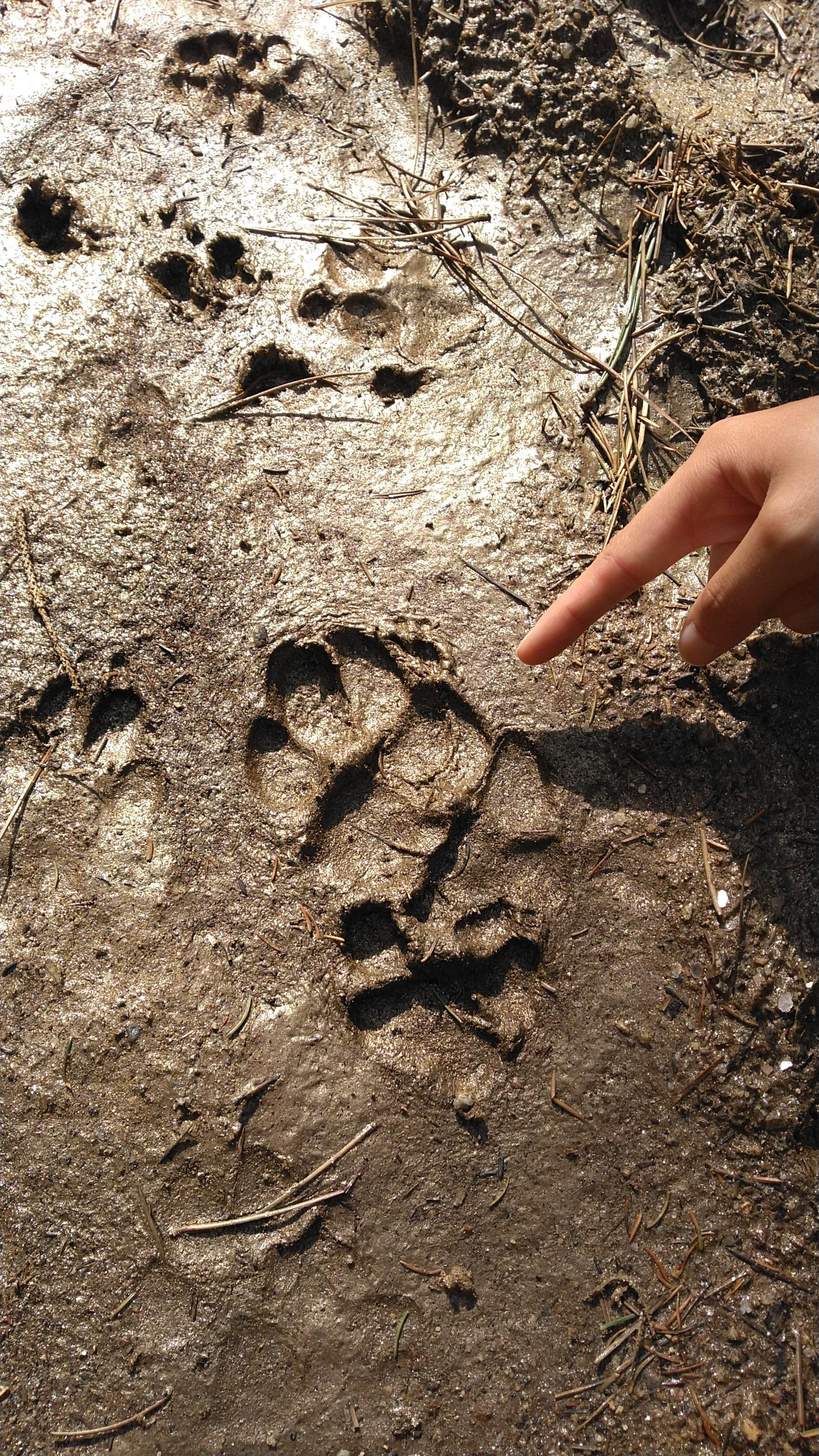 Camper-submitted photo at Sylvan Lake Campground — Custer State Park near Lead, SD