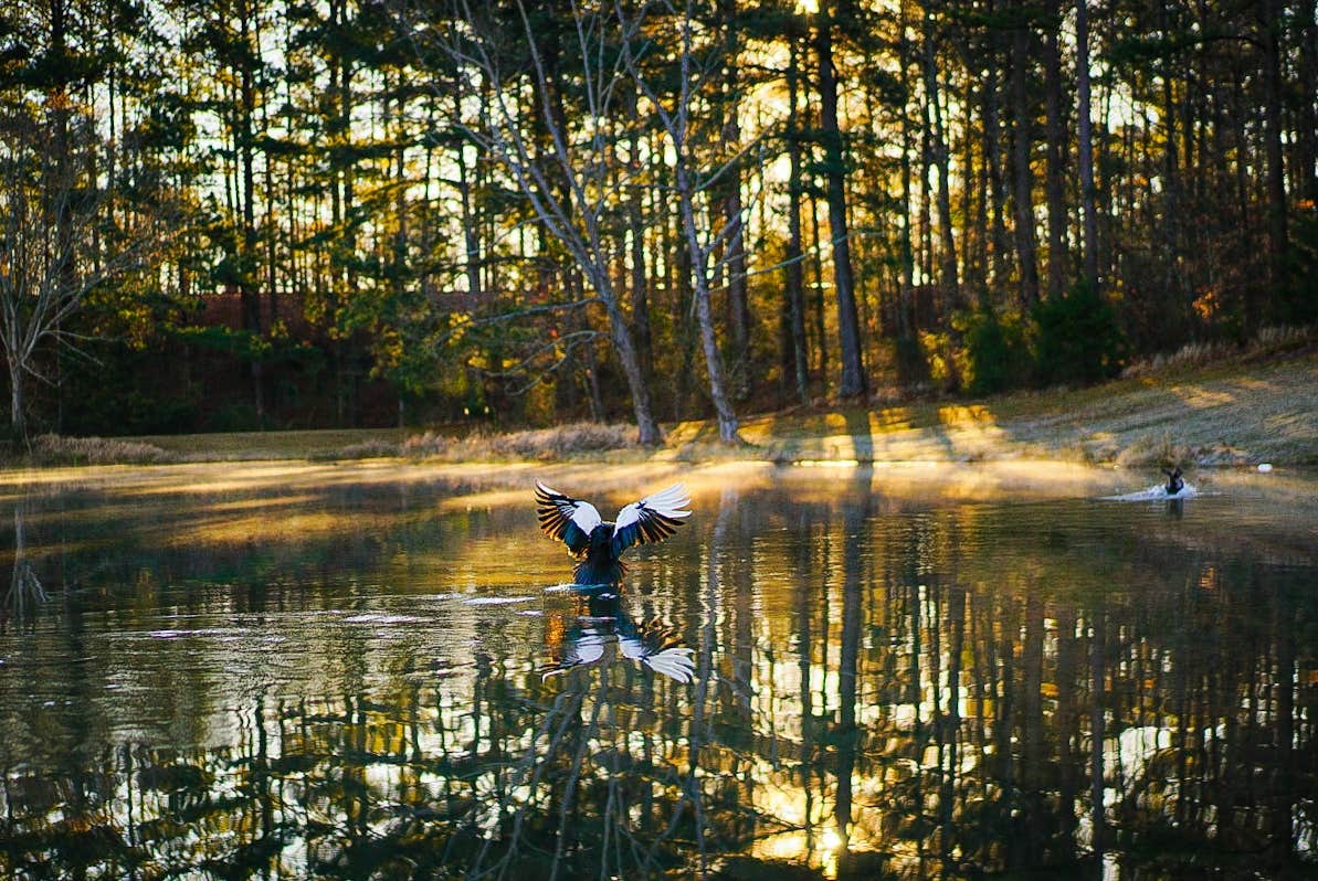 Camper submitted image from Wendy Oaks RV Resort - 5