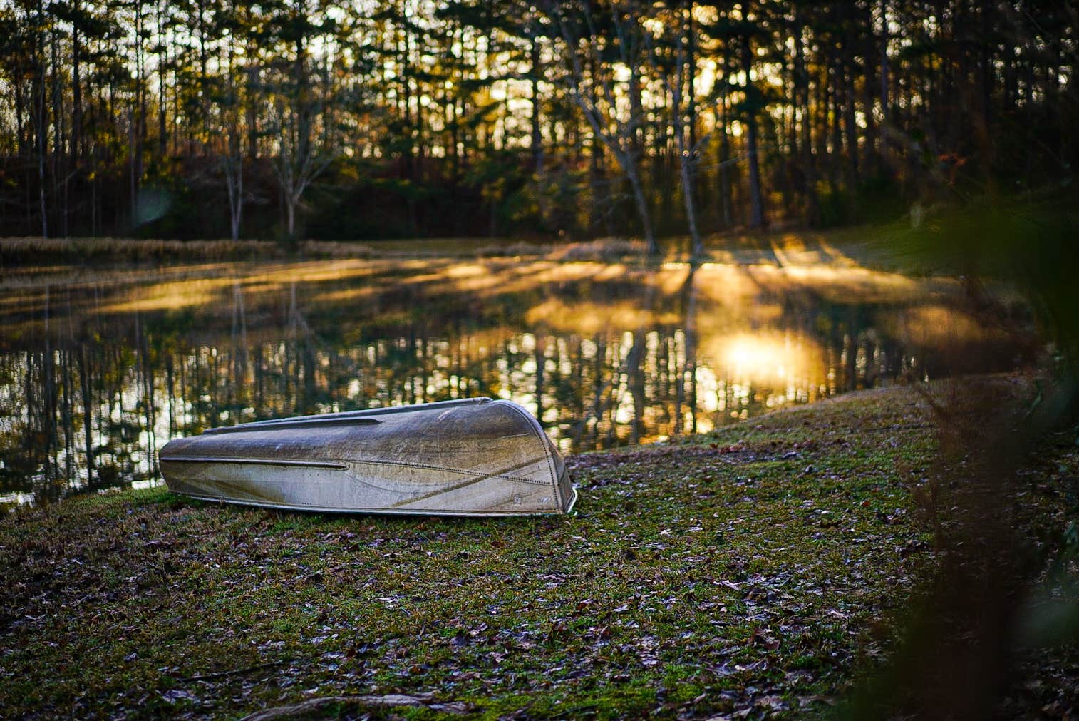 Water