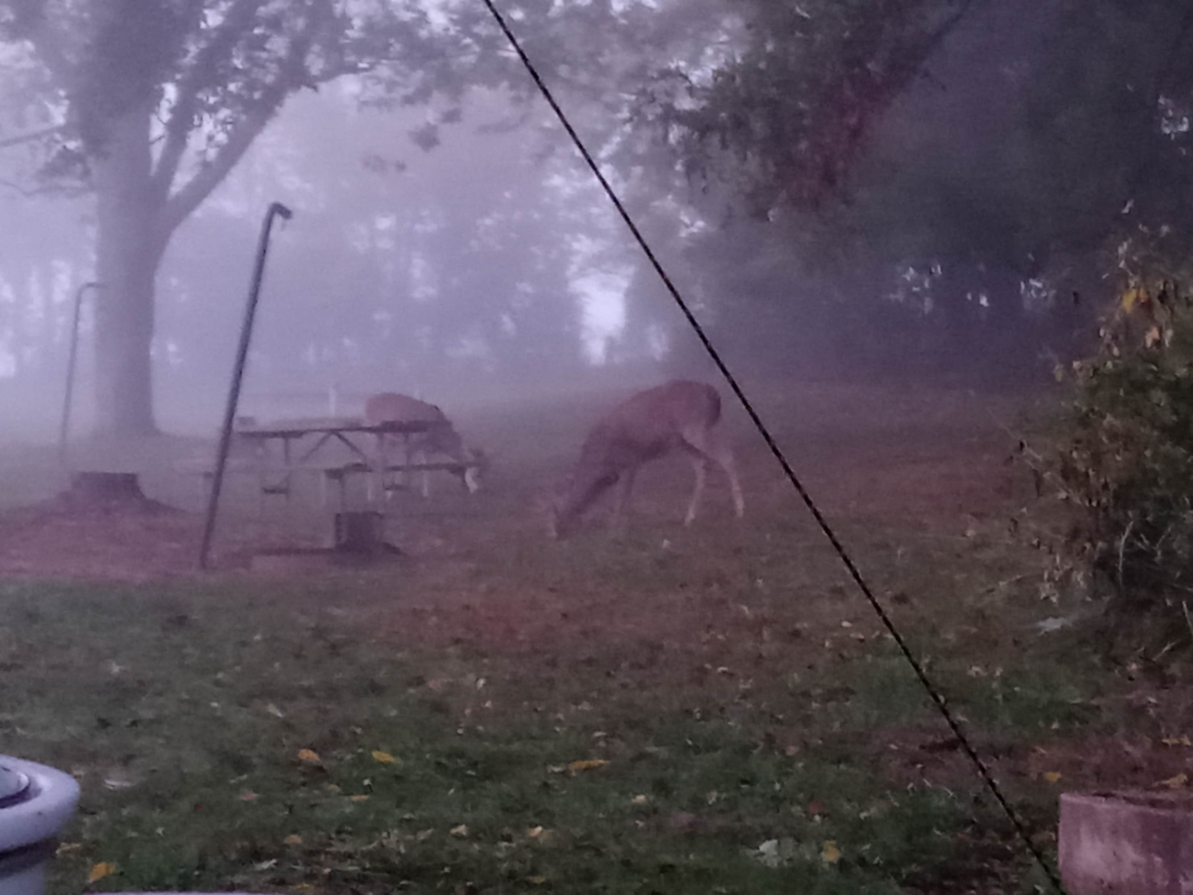 Camper-submitted photo at Big Bone Lick State Historic Site Campground in Kentucky