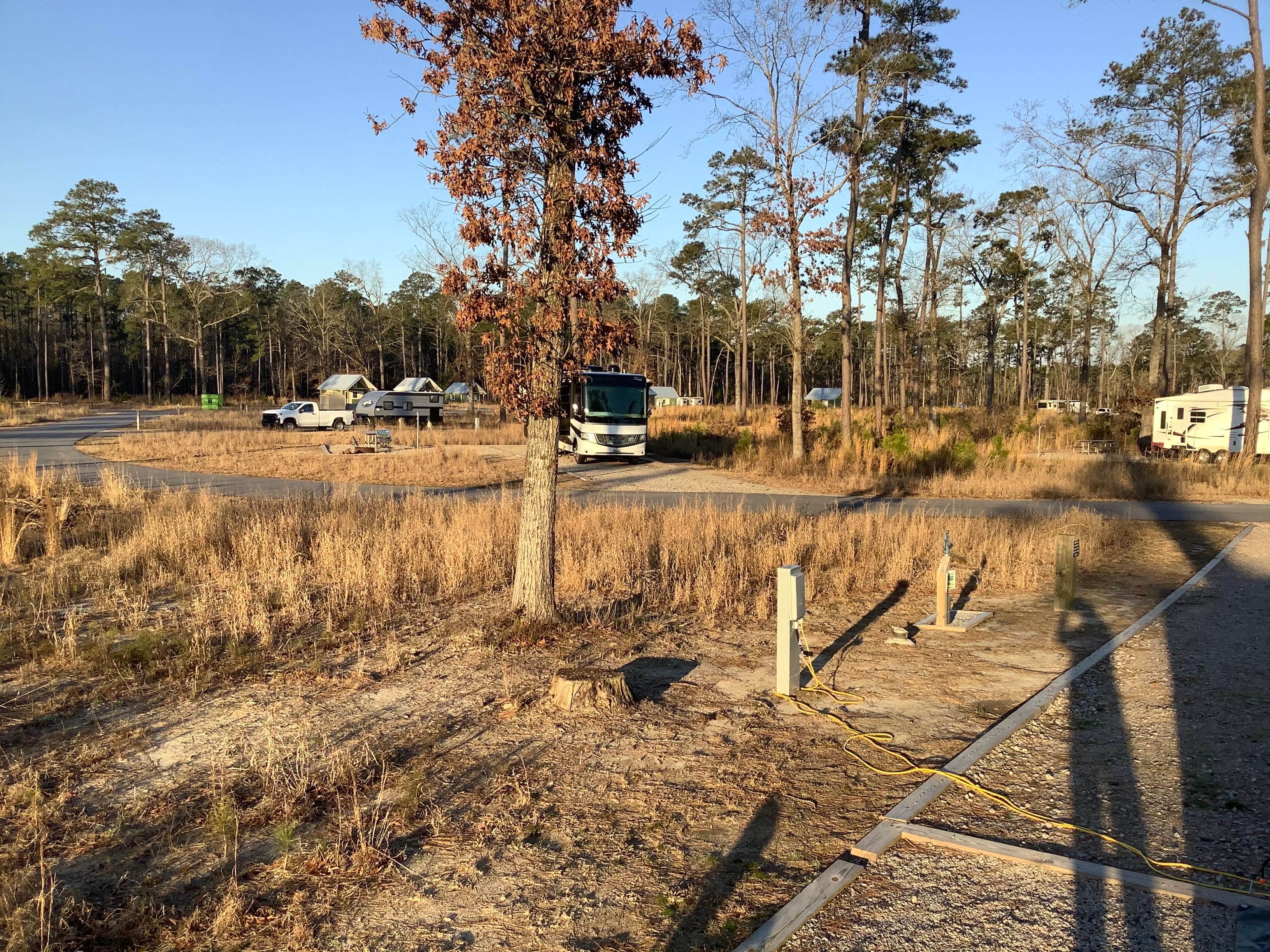 Camper-submitted photo at Goose Creek State Park Campground near Kinston, NC