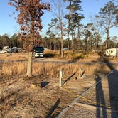 Review photo of Goose Creek State Park Campground by Mark H., February 25, 2021