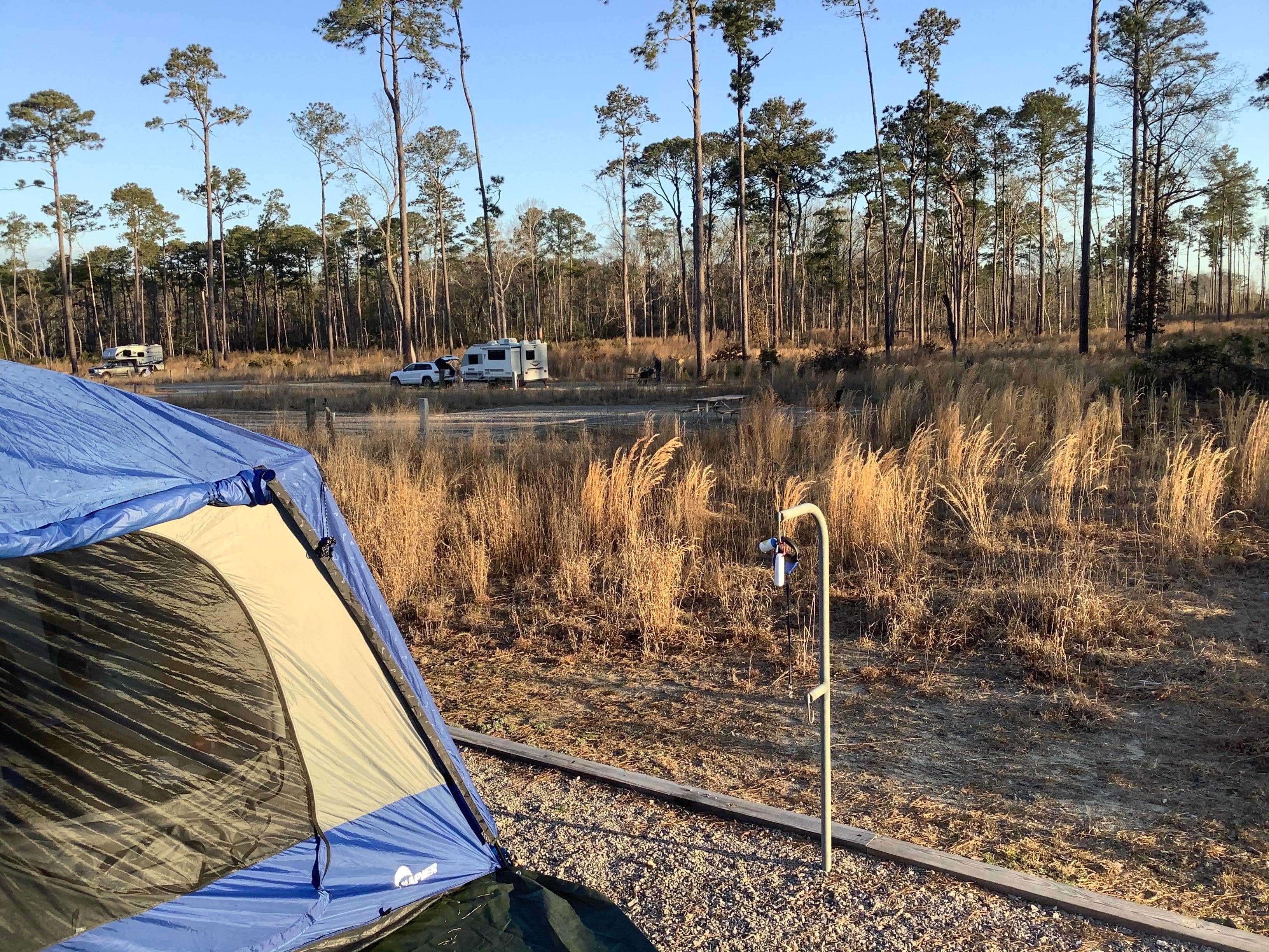 Camper-submitted photo at Goose Creek State Park Campground near Kinston, NC