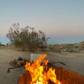 Review photo of Jumbo Rocks Campground — Joshua Tree National Park by Erin S., February 26, 2021