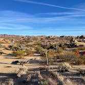 Review photo of Jumbo Rocks Campground — Joshua Tree National Park by Erin S., February 26, 2021