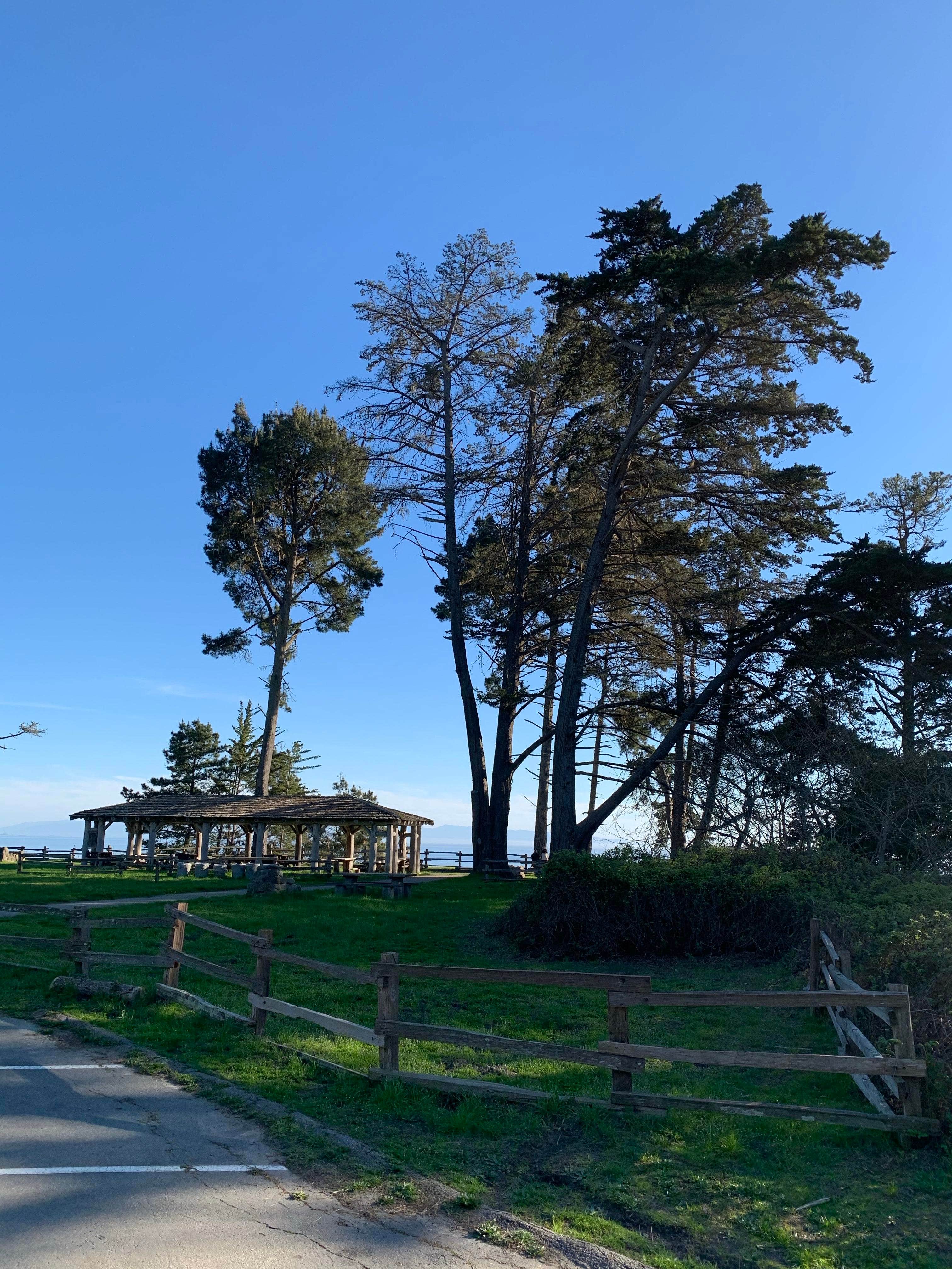 Camper-submitted photo at New Brighton State Beach Campground near Moss Landing, CA
