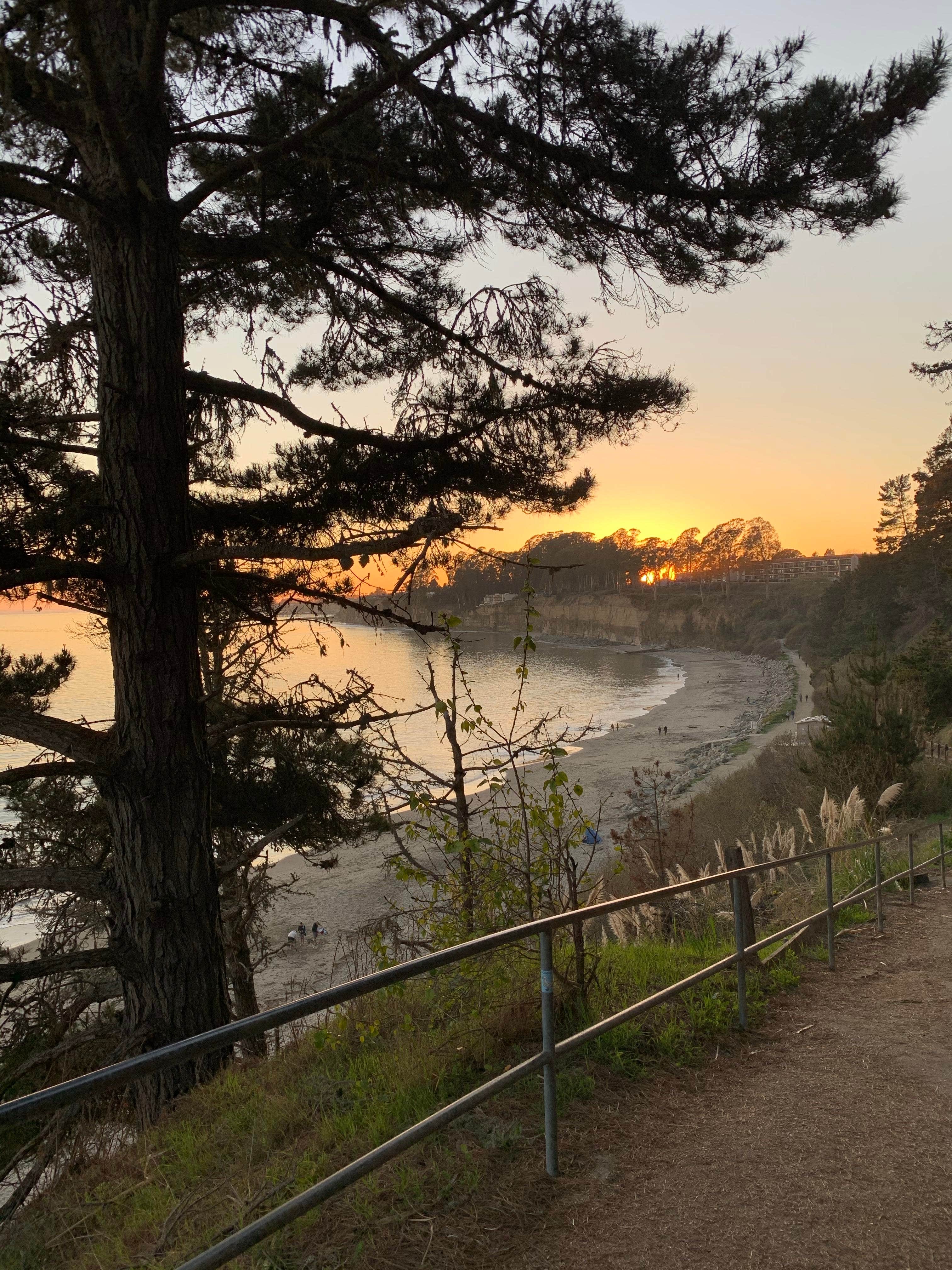 Camper-submitted photo at New Brighton State Beach Campground near Moss Landing, CA