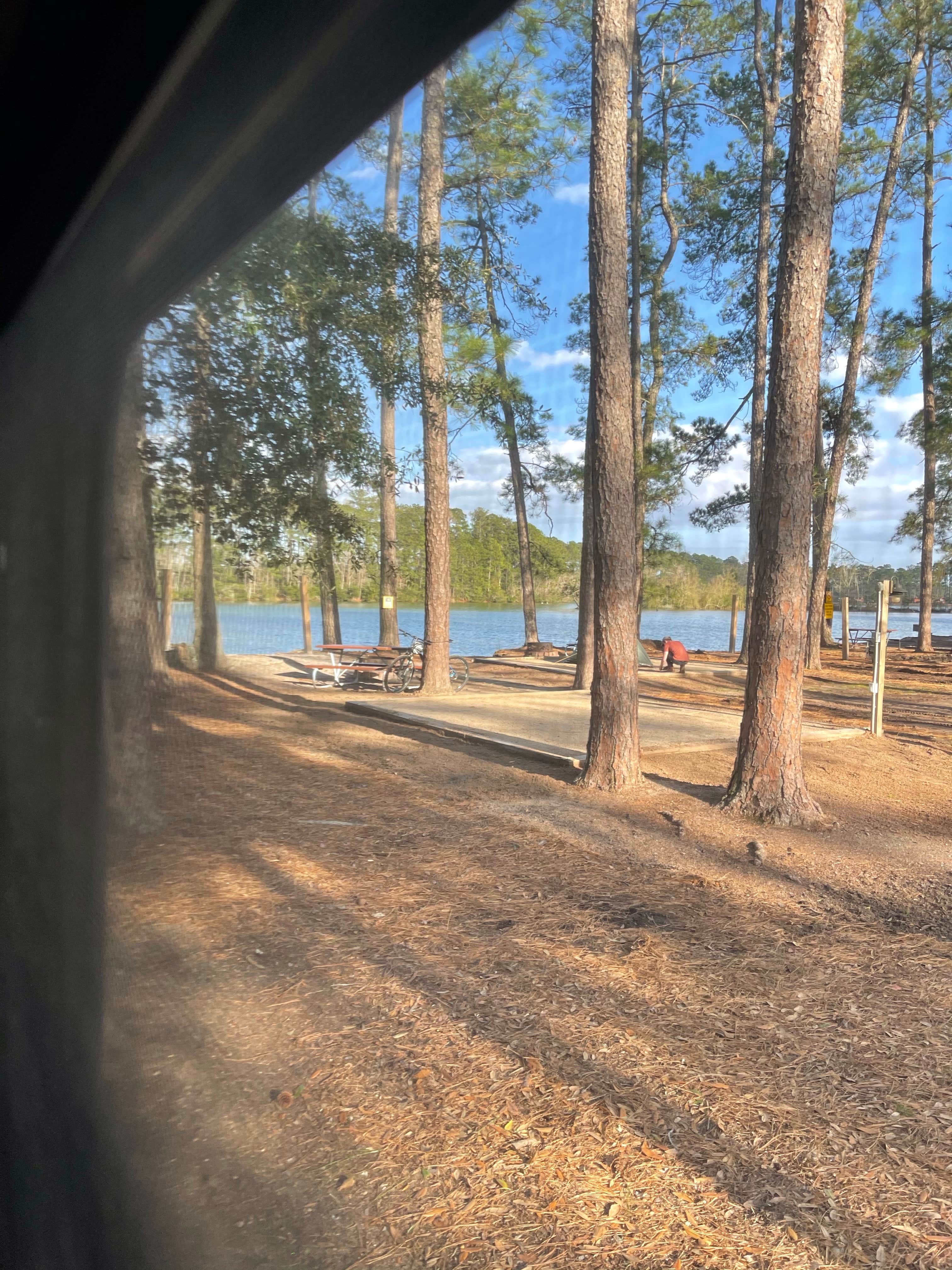 Camper-submitted photo at Savannah South KOA near Hardeeville, SC