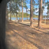 Review photo of Savannah South KOA by Sally S., February 26, 2021